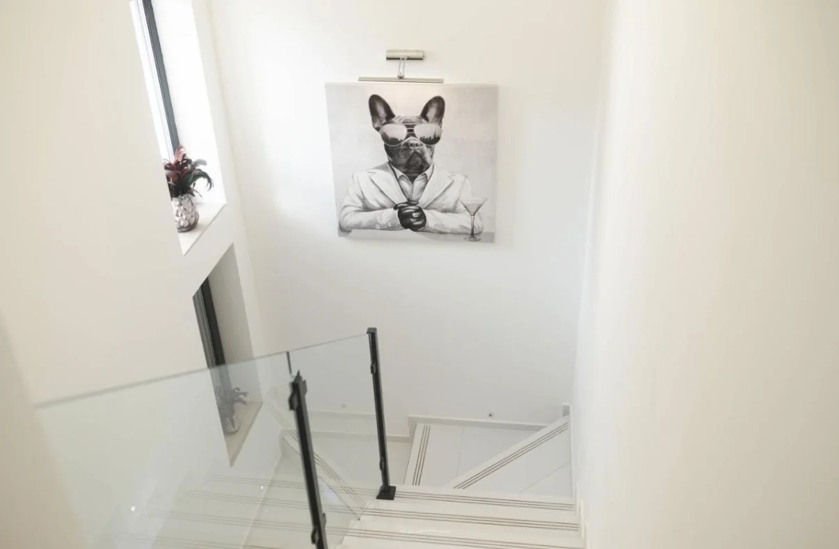 Vila u Vrdniku sa razradjenim biznisom — image 5