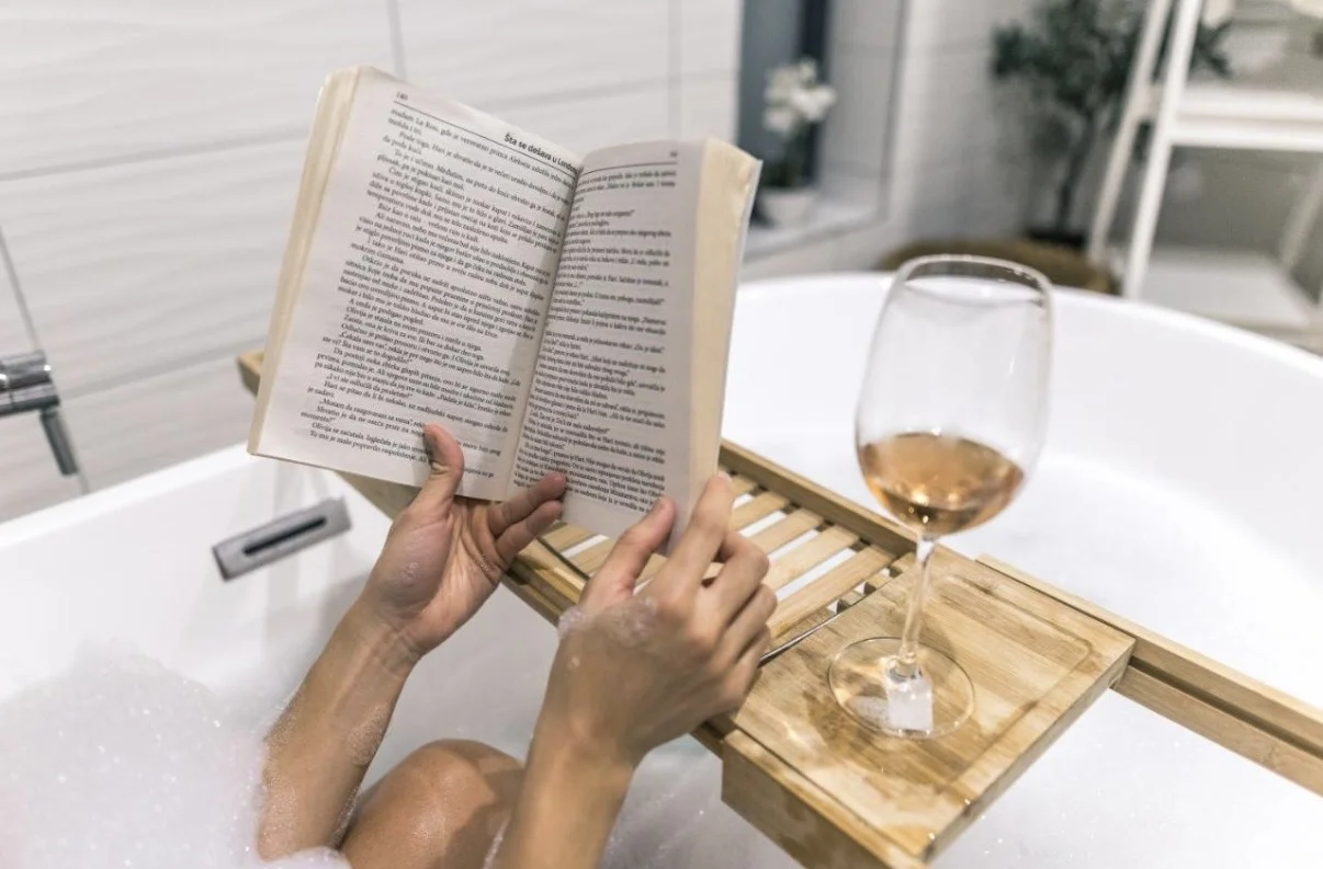 Vila u Vrdniku sa razradjenim biznisom — image 10