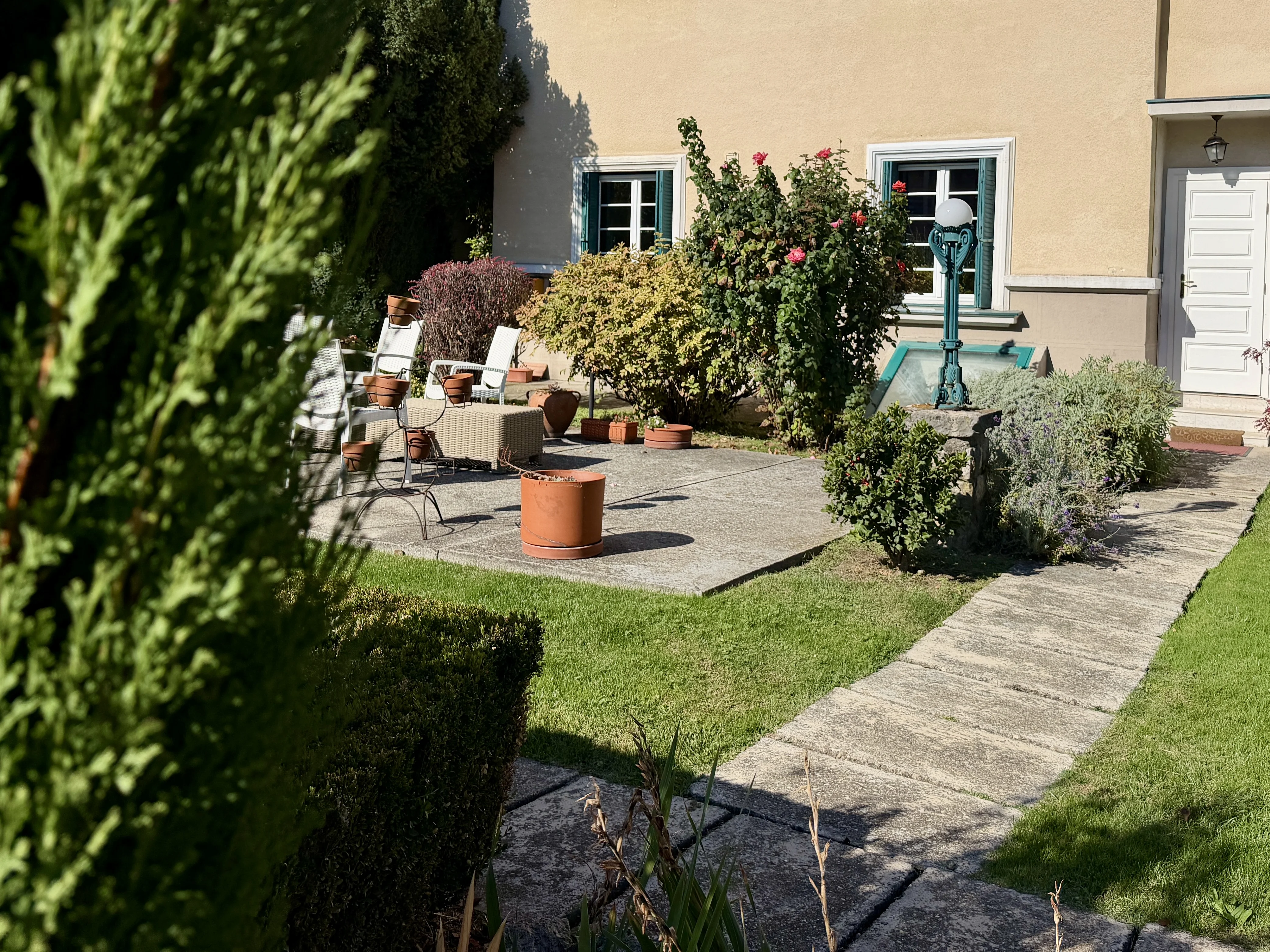 Vila u Užičkoj, Dedinje — slika 2