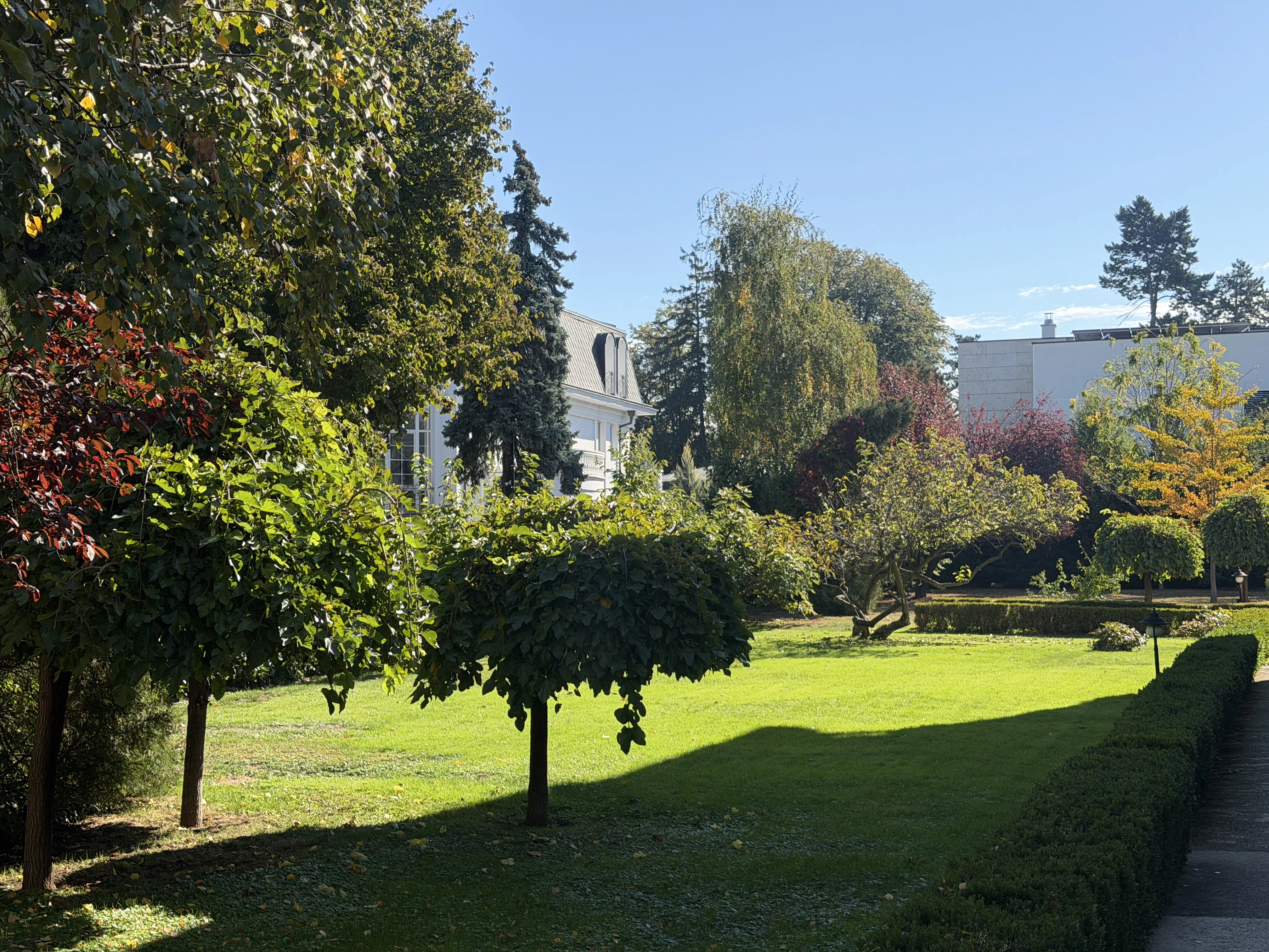 Vila u Užičkoj, Dedinje — slika 5