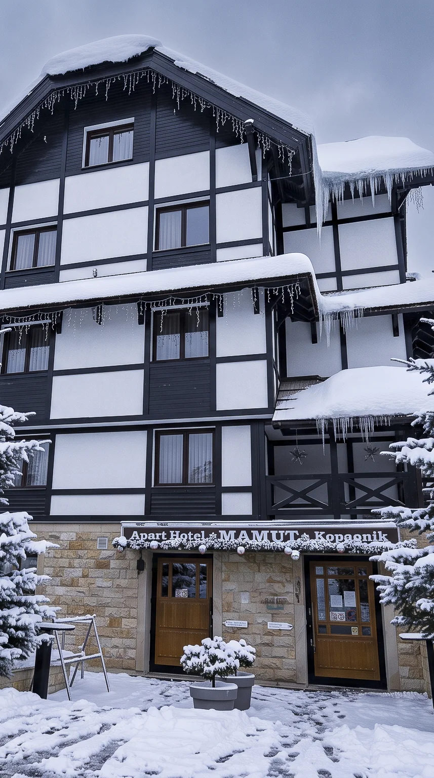 Apart Hotel Mamut, Kopaonik — slika 6